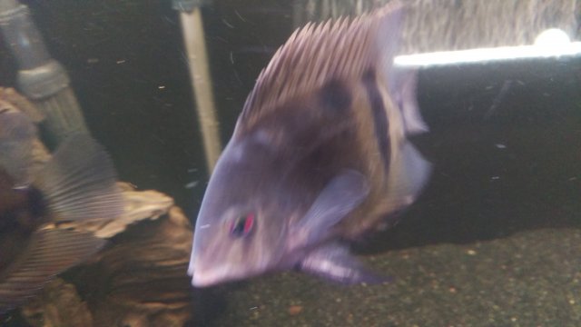 IMAG0740.jpg