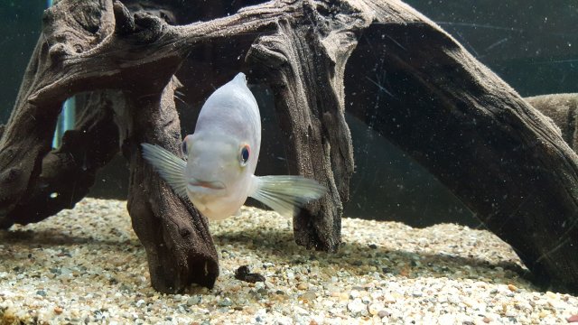 20160204_201807.jpg 20160204_201807.jpg