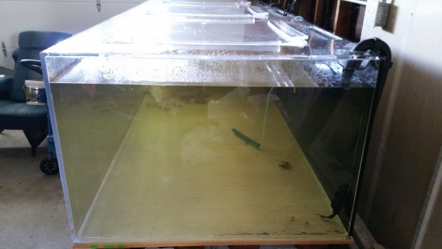 20160306_095850 (1).jpg