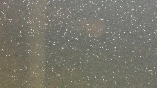 0306161712.jpg