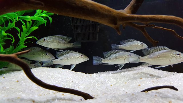 20160307_192128.jpg
