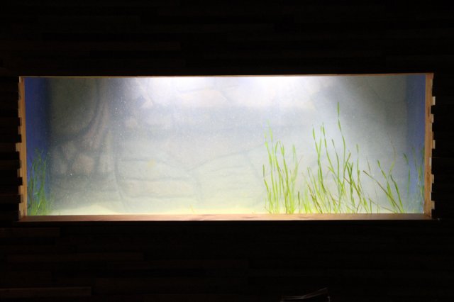 IMG_6317.JPG IMG_6317.JPG