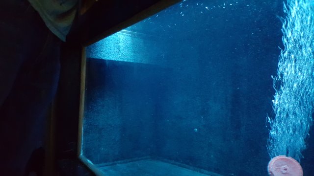 20160215_160135.jpg 20160215_160135.jpg