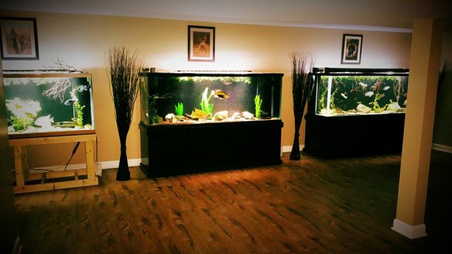 10395162_10153980030572451_4604267936624676224_n.jpg 10395162_10153980030572451_4604267936624676224_n.jpg