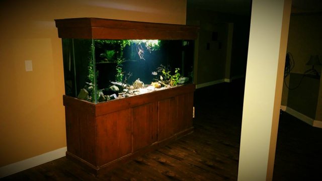 12790945_10153980030677451_7201030303817784936_n.jpg 12790945_10153980030677451_7201030303817784936_n.jpg