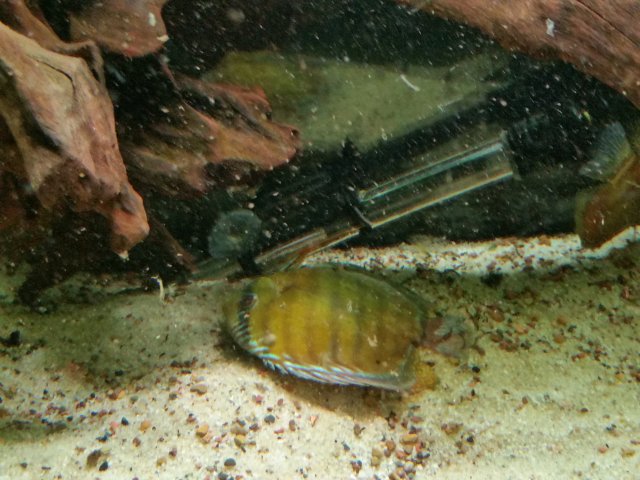 20160309_130521.jpg 20160309_130521.jpg