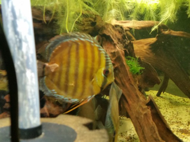 20160310_200336.jpg