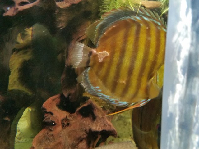 20160310_200341.jpg