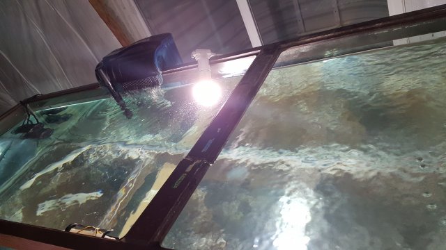20160310_233730.jpg