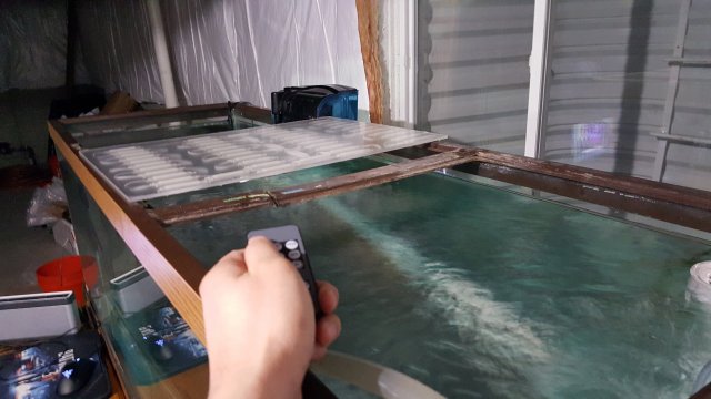 20160310_234041.jpg