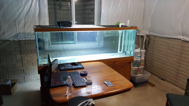 20160310_234136.jpg