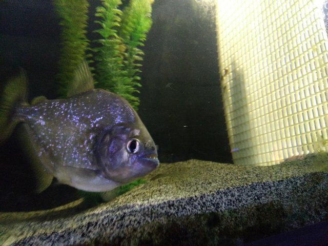 IMG_20160301_170406.jpg IMG_20160301_170406.jpg