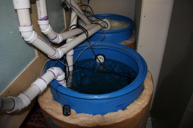 IMG_6351.JPG IMG_6351.JPG