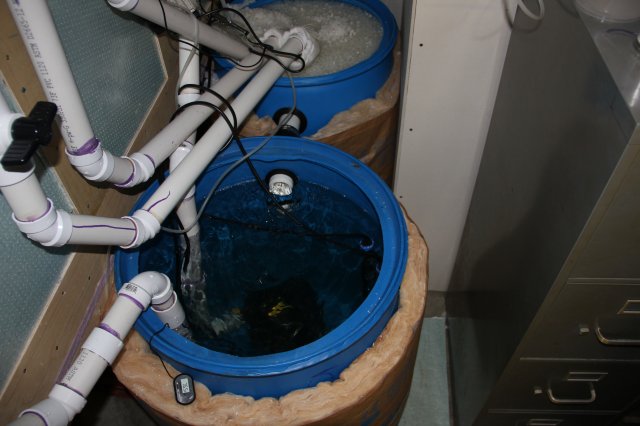 IMG_6352.JPG IMG_6352.JPG