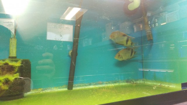 IMAG0753.jpg