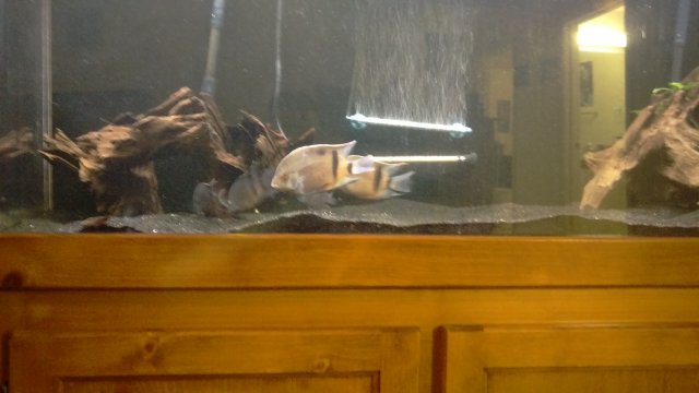 IMAG0757.jpg IMAG0757.jpg