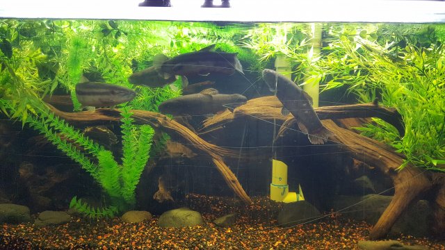 20160313_111958.jpg