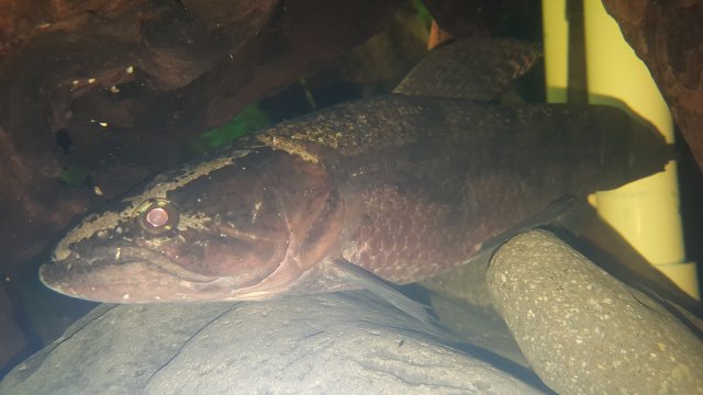 20160313_112428.jpg