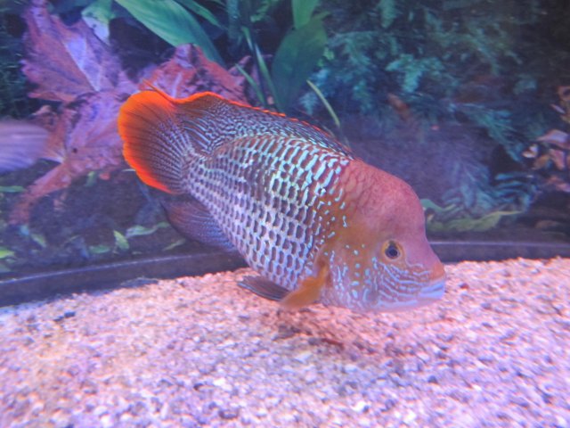 IMG_5722.jpg IMG_5722.jpg