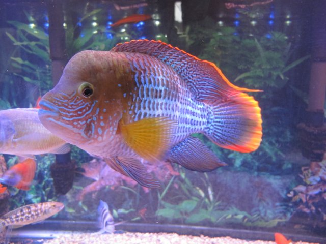 IMG_5714.jpg IMG_5714.jpg