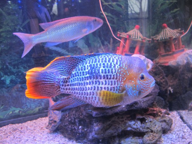 IMG_5715.jpg IMG_5715.jpg