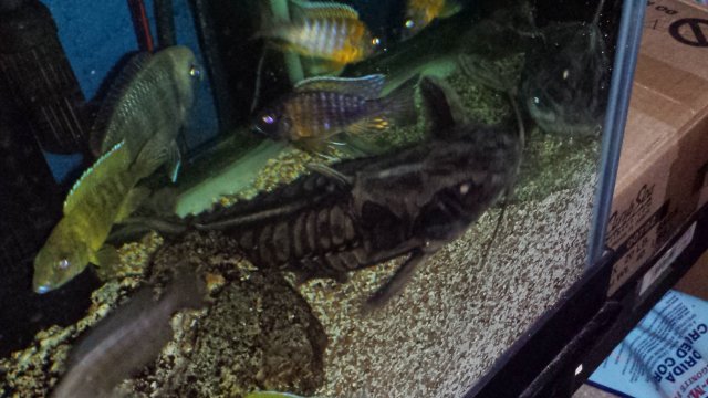 20160313_005825.jpg