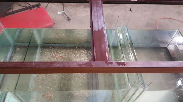 20160313_232817.jpg 20160313_232817.jpg