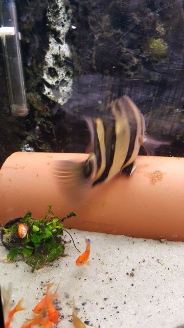 20160310_071859.jpg