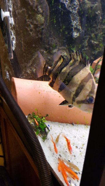 20160310_071848.jpg