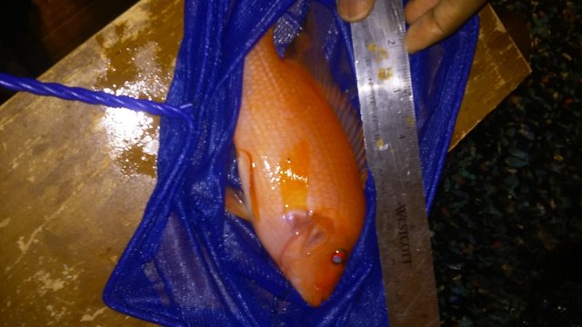 20160314_154118.jpg