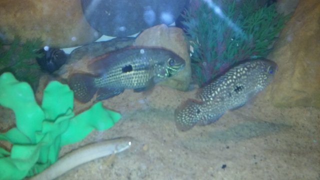 20160314_160930.jpg