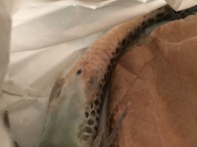 image.jpeg image.jpeg