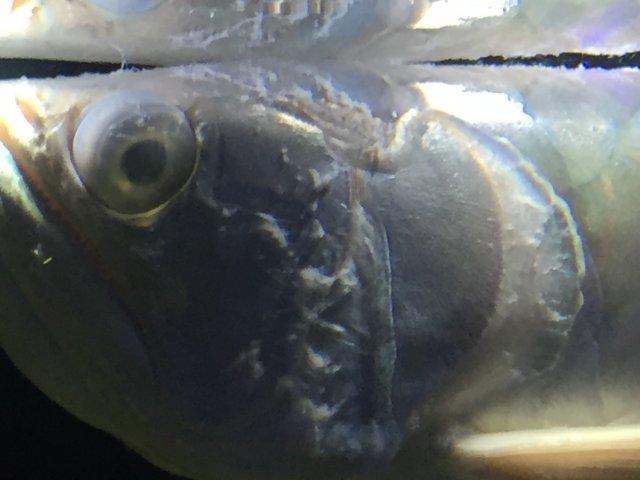 image.jpeg image.jpeg