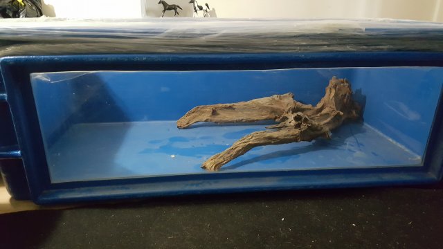 20160315_163030.jpg