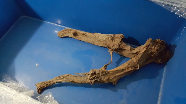 20160315_163108.jpg