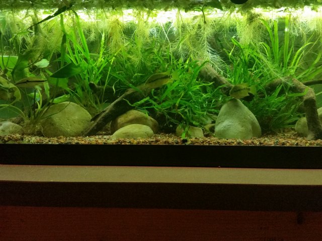 20160315_165105.jpg