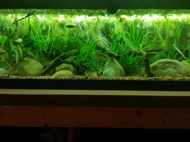20160315_165101.jpg
