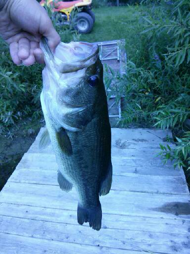 matts phone pictures 512.jpg