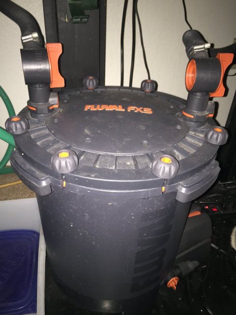 image.jpeg