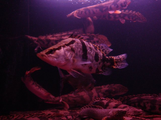 DSC01301.JPG