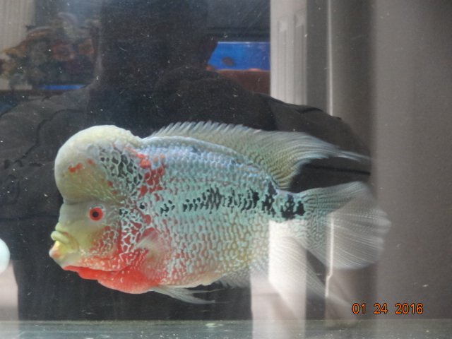 DSC00098.JPG