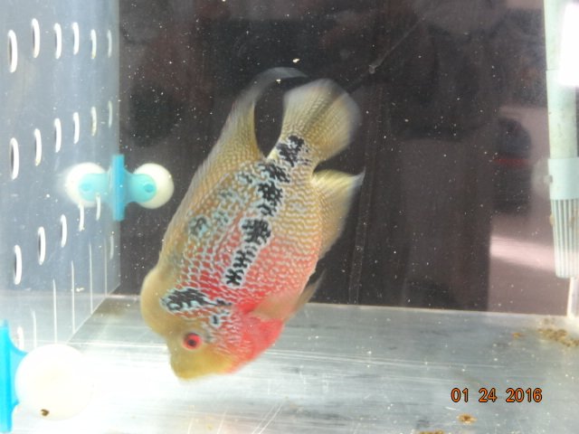 DSC00103.JPG