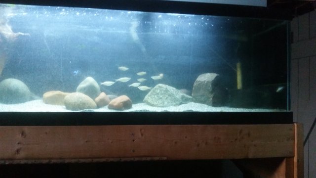 20160318_153135.jpg