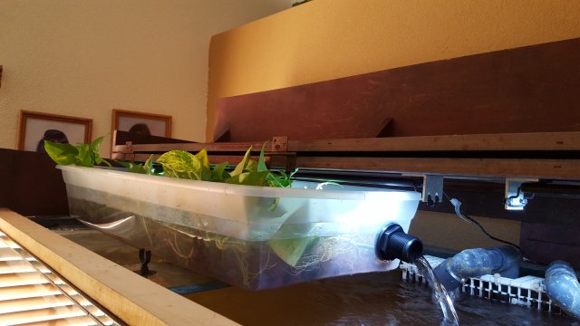 20160319_172606.jpg 20160319_172606.jpg