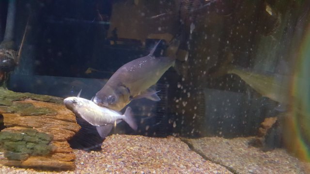 20160319_191221.jpg