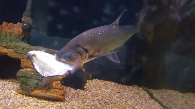 20160319_191256.jpg