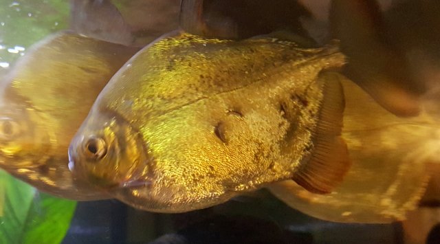 20160319_220523-1.jpg