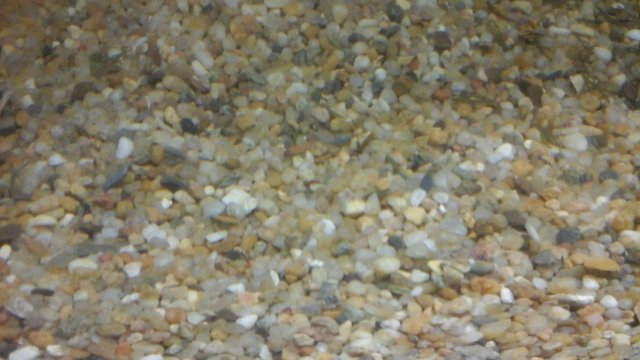 20160323_145830.jpg