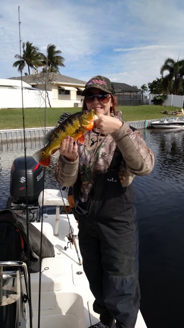 IMG_20160118_121904513.jpg