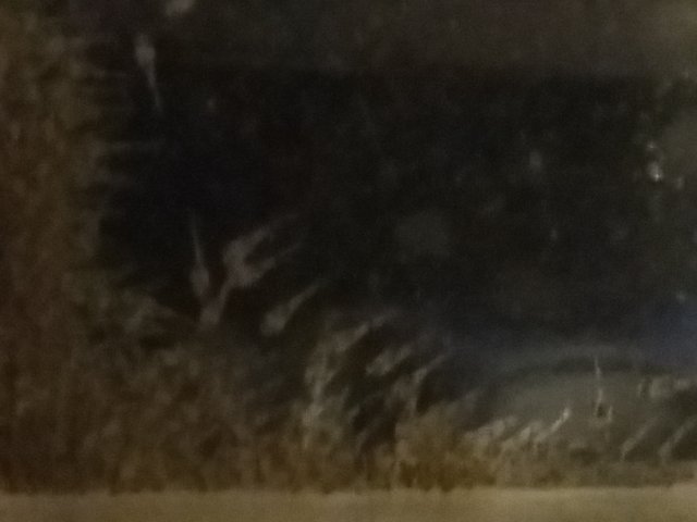 20160323_125438.jpg